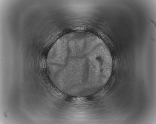 X0000101170517200807251135