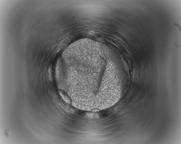 X0000101170520200807251135