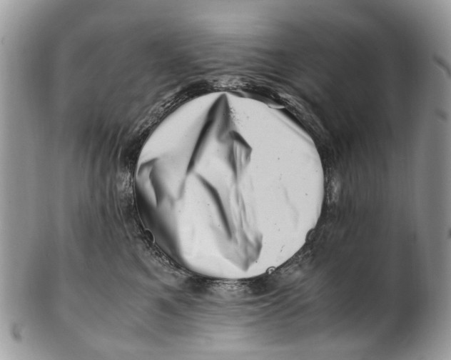 X0000101170521200807251135