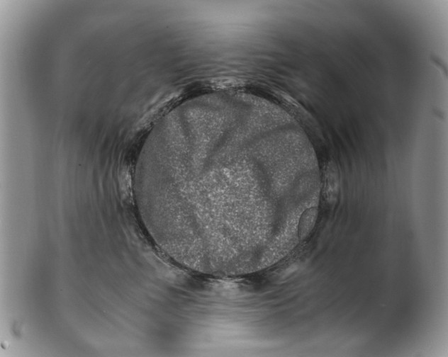 X0000101170523200807251135