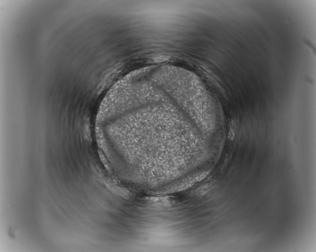 X0000101170524200807251135