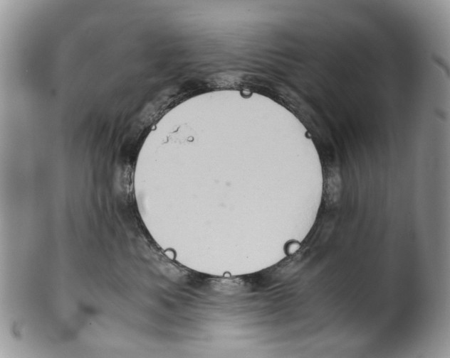 X0000101170525200807251135