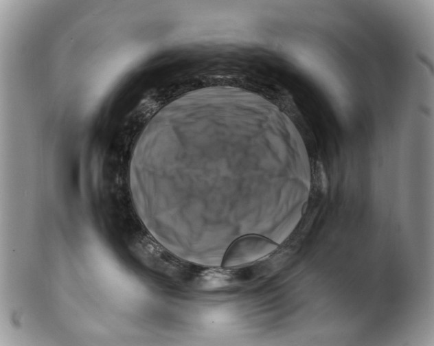 X0000101170526200807251135