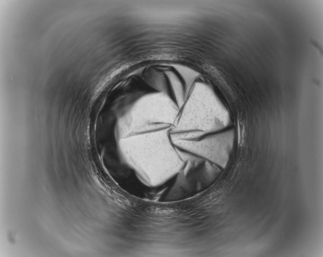 X0000101170531200807251135