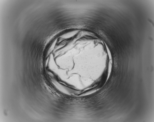 X0000101170532200807251135