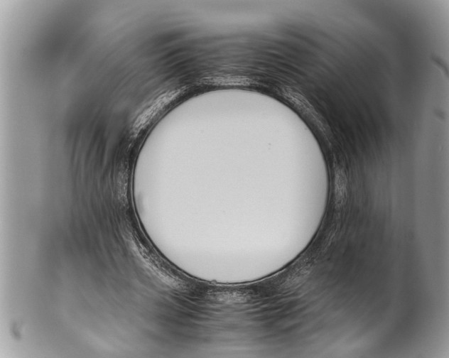 X0000101170533200807251135