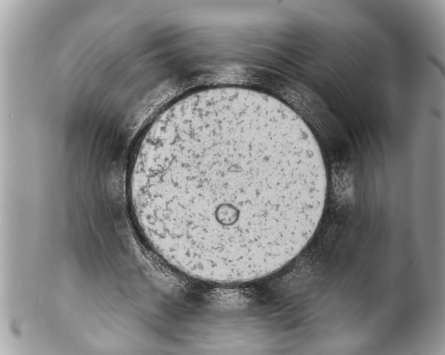X0000101170534200807251135