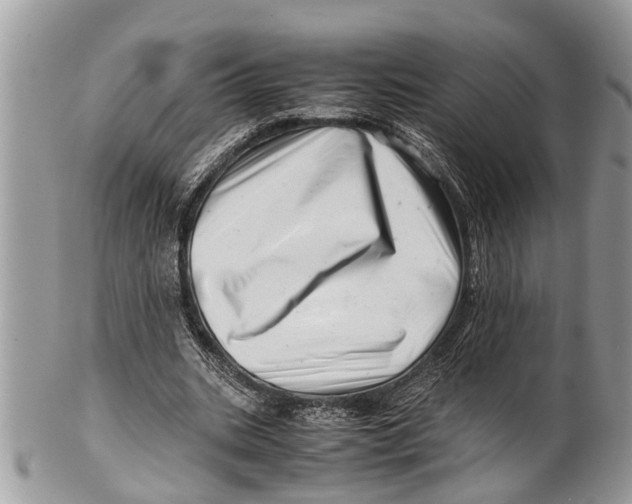 X0000101170535200807251135