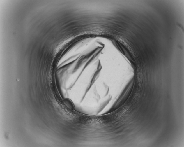 X0000101170536200807251135