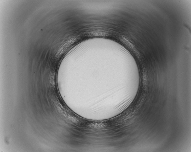 X0000101170537200807251135
