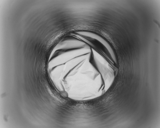 X0000101170538200807251135