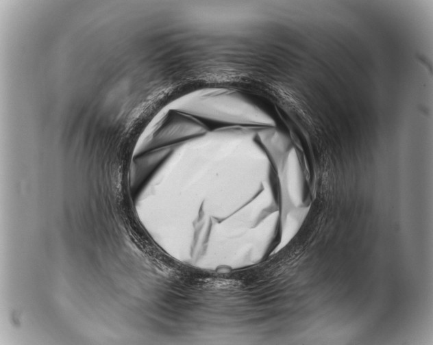 X0000101170539200807251135