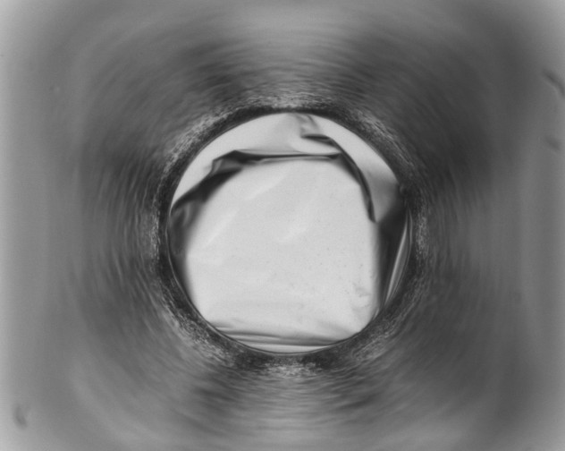 X0000101170540200807251135