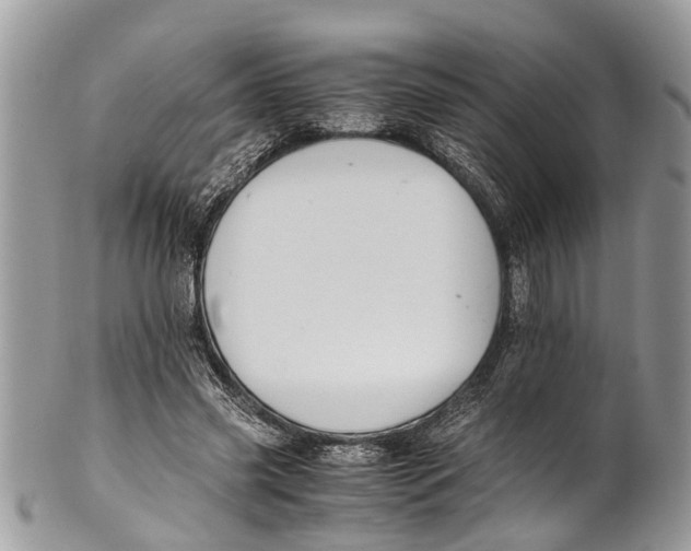 X0000101170541200807251135
