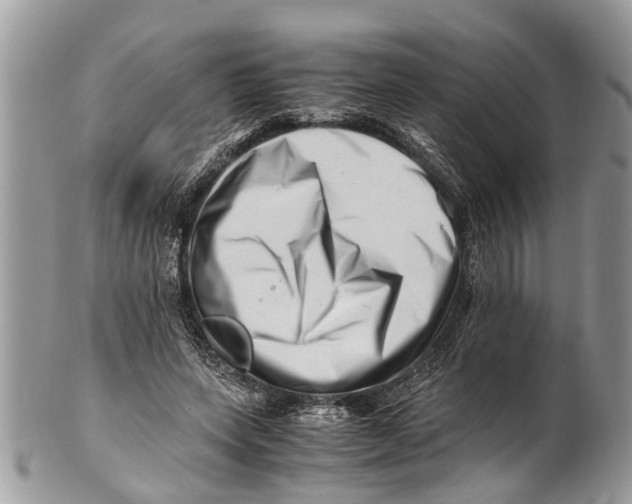 X0000101170543200807251135