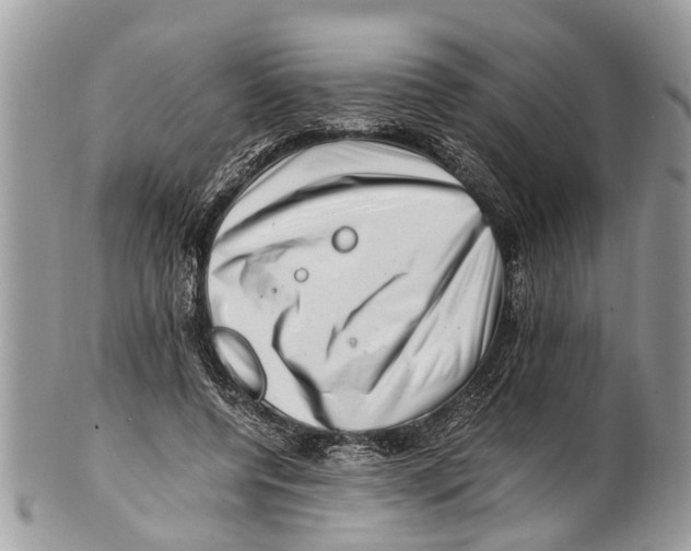 X0000101170544200807251135