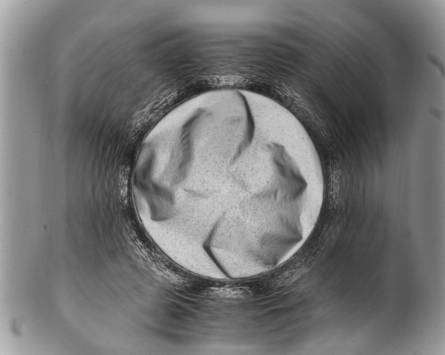 X0000101170545200807251135