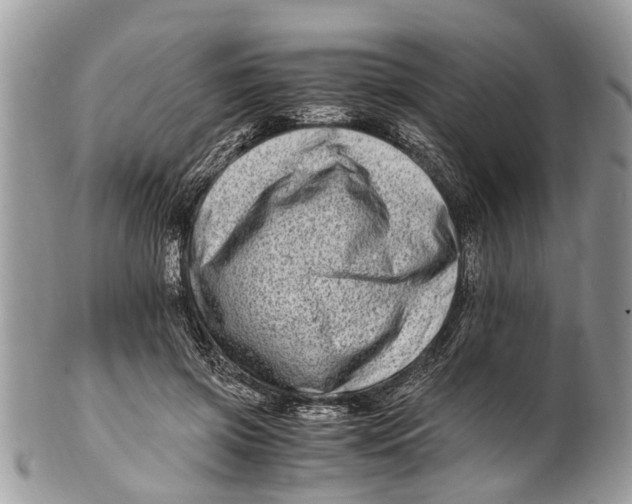 X0000101170549200807251135