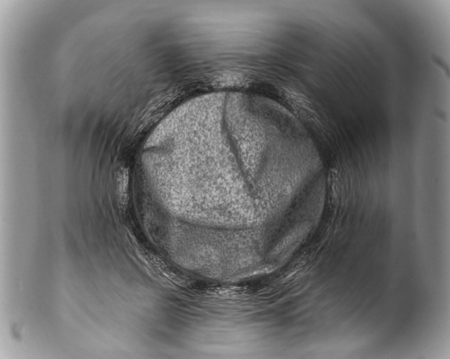 X0000101170550200807251135