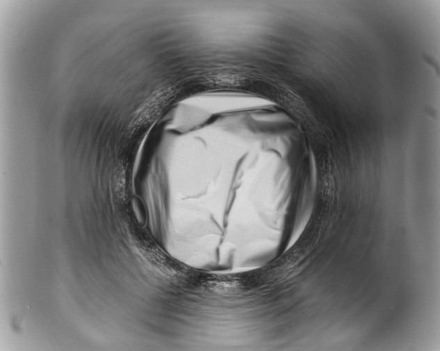 X0000101170552200807251135