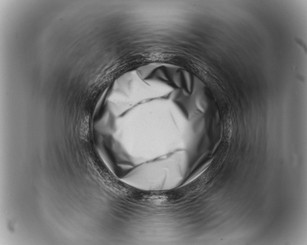 X0000101170554200807251135