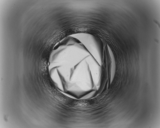 X0000101170555200807251135