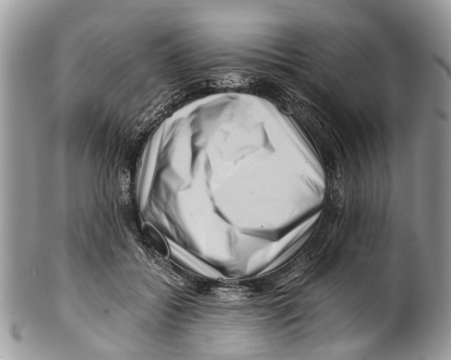X0000101170556200807251135