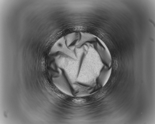 X0000101170557200807251135