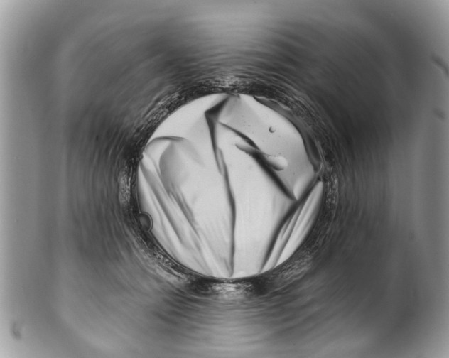 X0000101170558200807251135