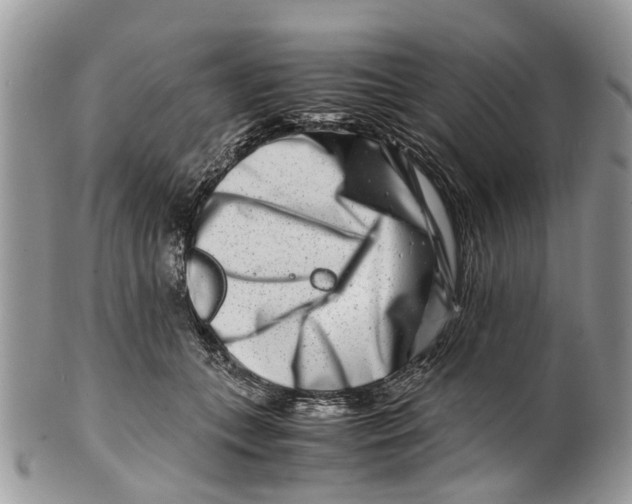 X0000101170559200807251135