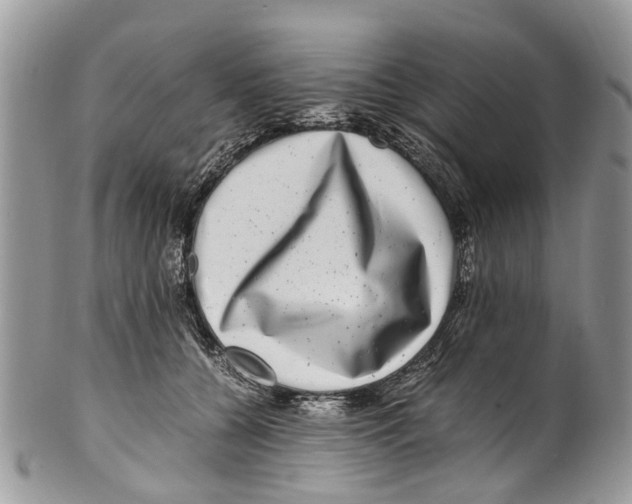 X0000101170560200807251135