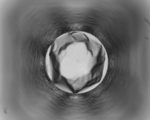 X0000101170561200807251135