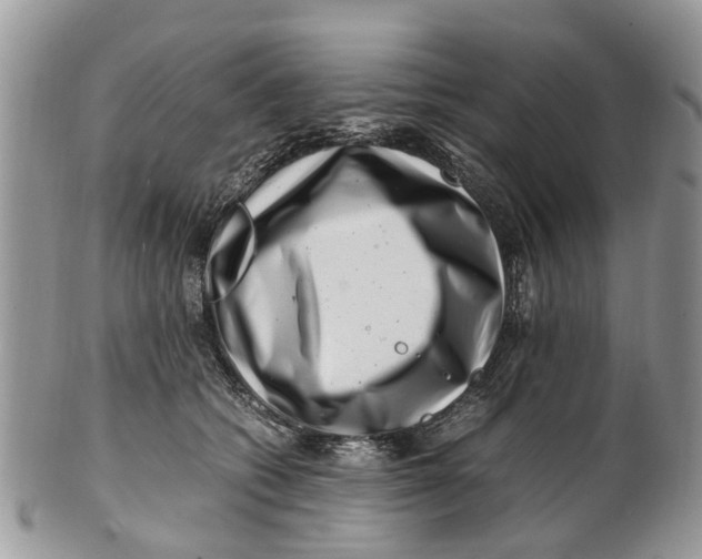X0000101170562200807251135