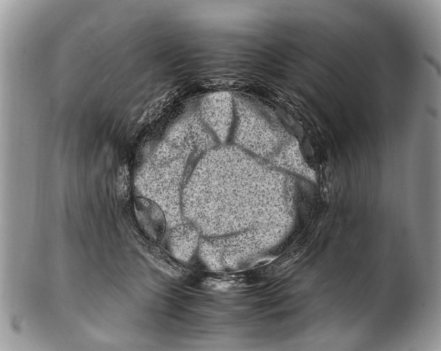 X0000101170563200807251135