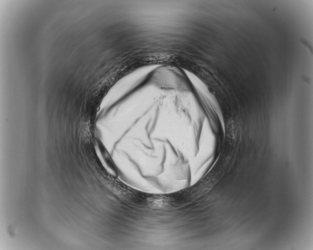 X0000101170564200807251135
