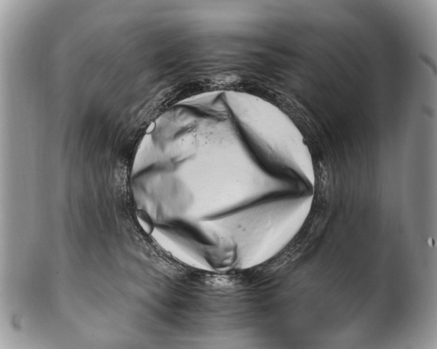 X0000101170565200807251135