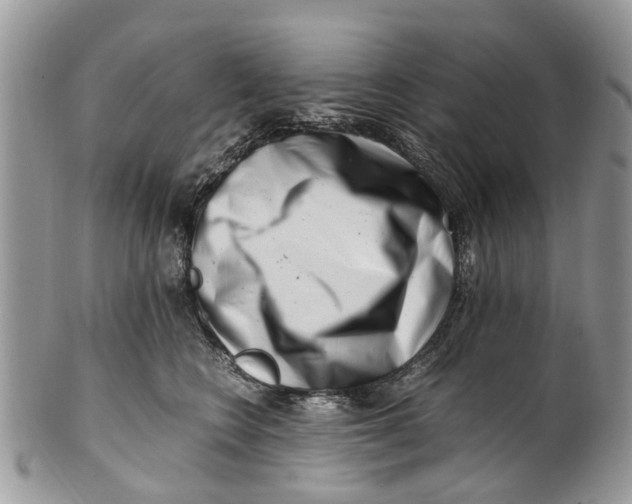 X0000101170566200807251135