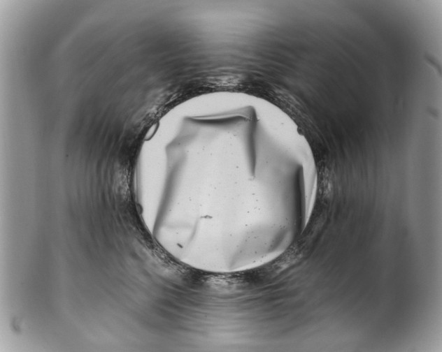 X0000101170568200807251135