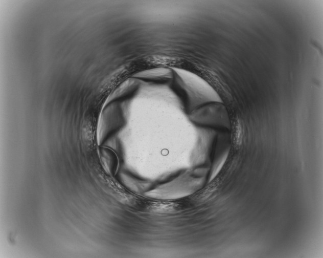 X0000101170569200807251135
