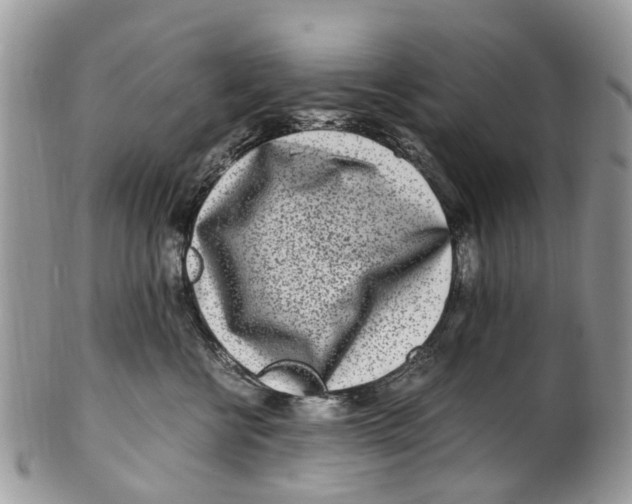 X0000101170570200807251135