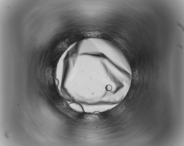 X0000101170572200807251135