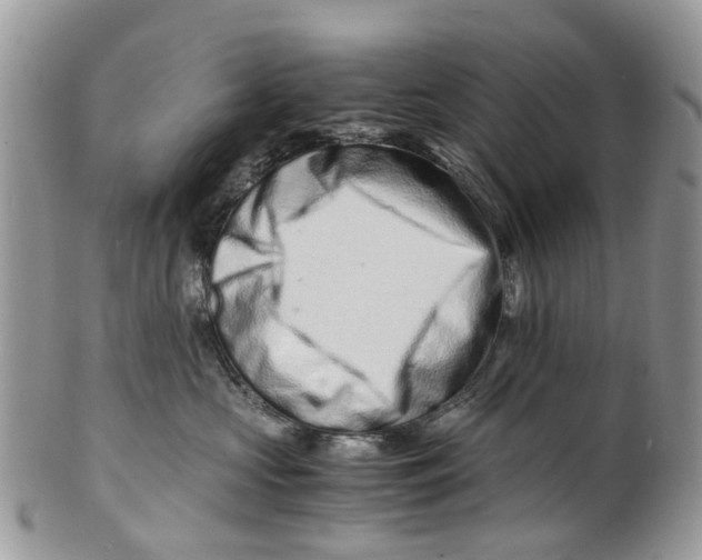 X0000101170573200807251135