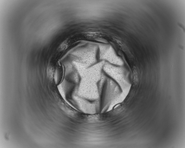 X0000101170574200807251135