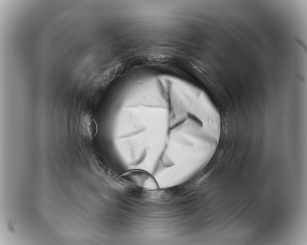 X0000101170575200807251135