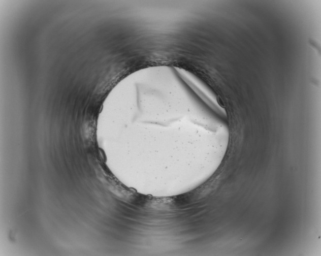 X0000101170576200807251135