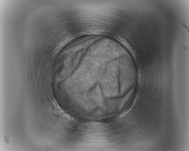 X0000101170577200807251135