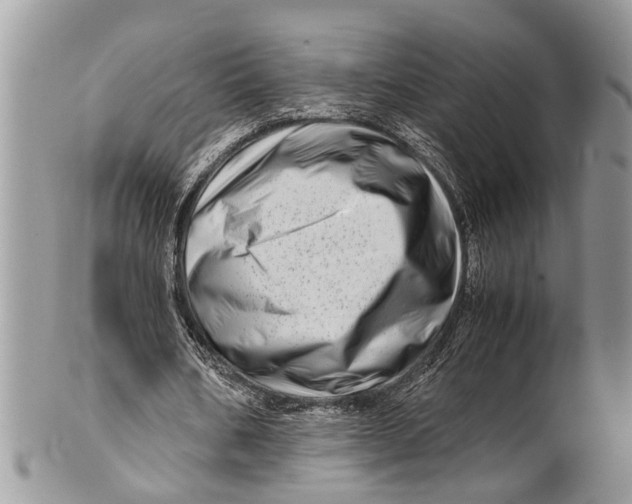 X0000101170578200807251135