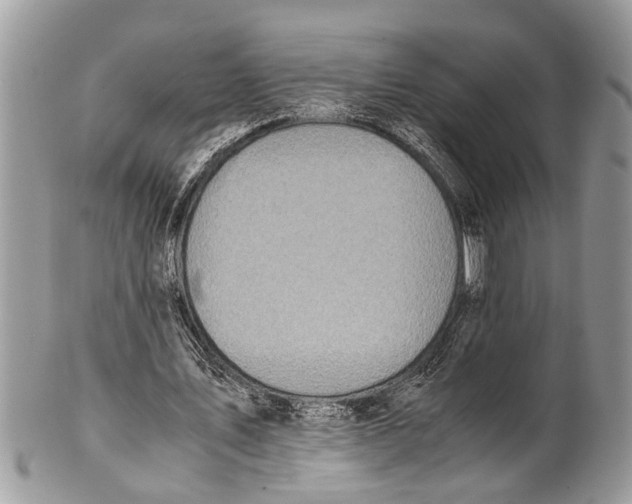 X0000101170579200807251135