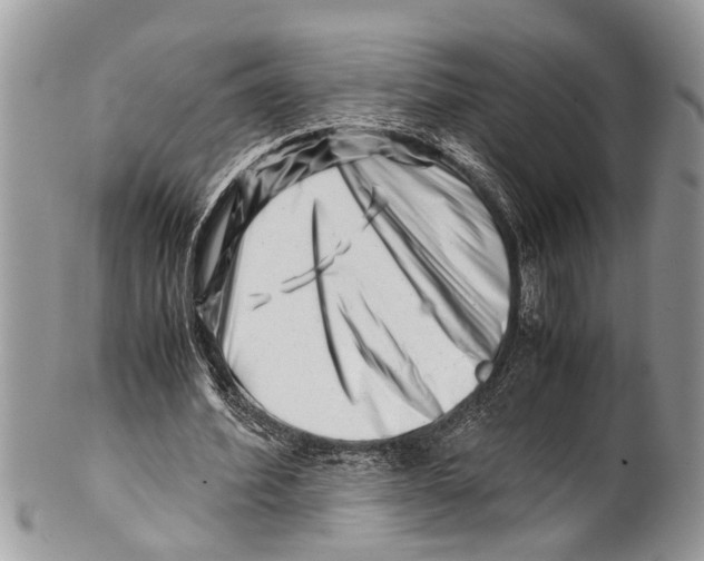 X0000101170580200807251135