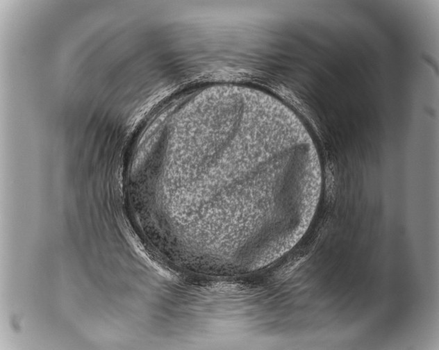 X0000101170581200807251135